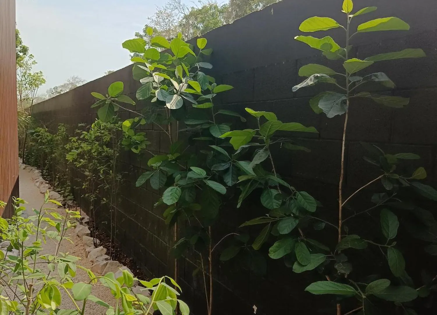 Apartmán Departamento De 1 Hab Con Balcon En Zona Hotelera Ad Tulum