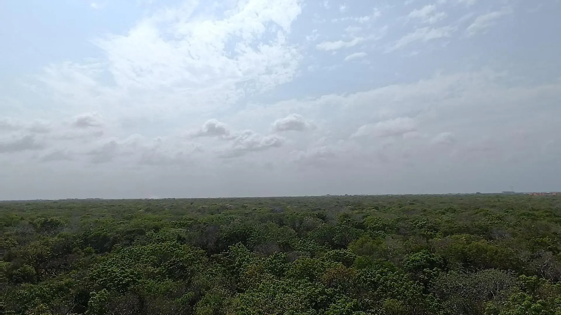 Apartmán Departamento De 1 Hab Con Balcon En Zona Hotelera Ad Tulum