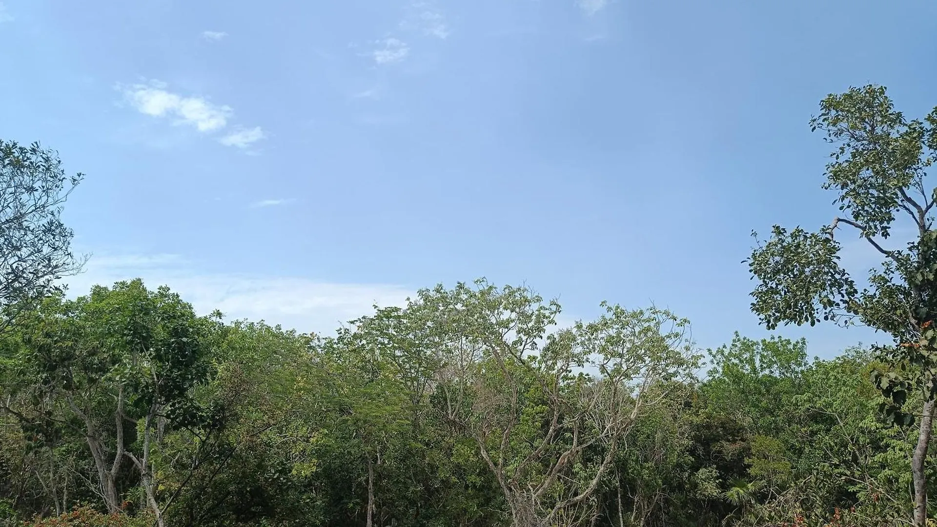 Departamento De 1 Hab Con Balcon En Zona Hotelera Ad Tulum 0*,  Mexiko